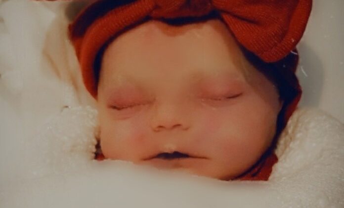Harper Josephine Titus