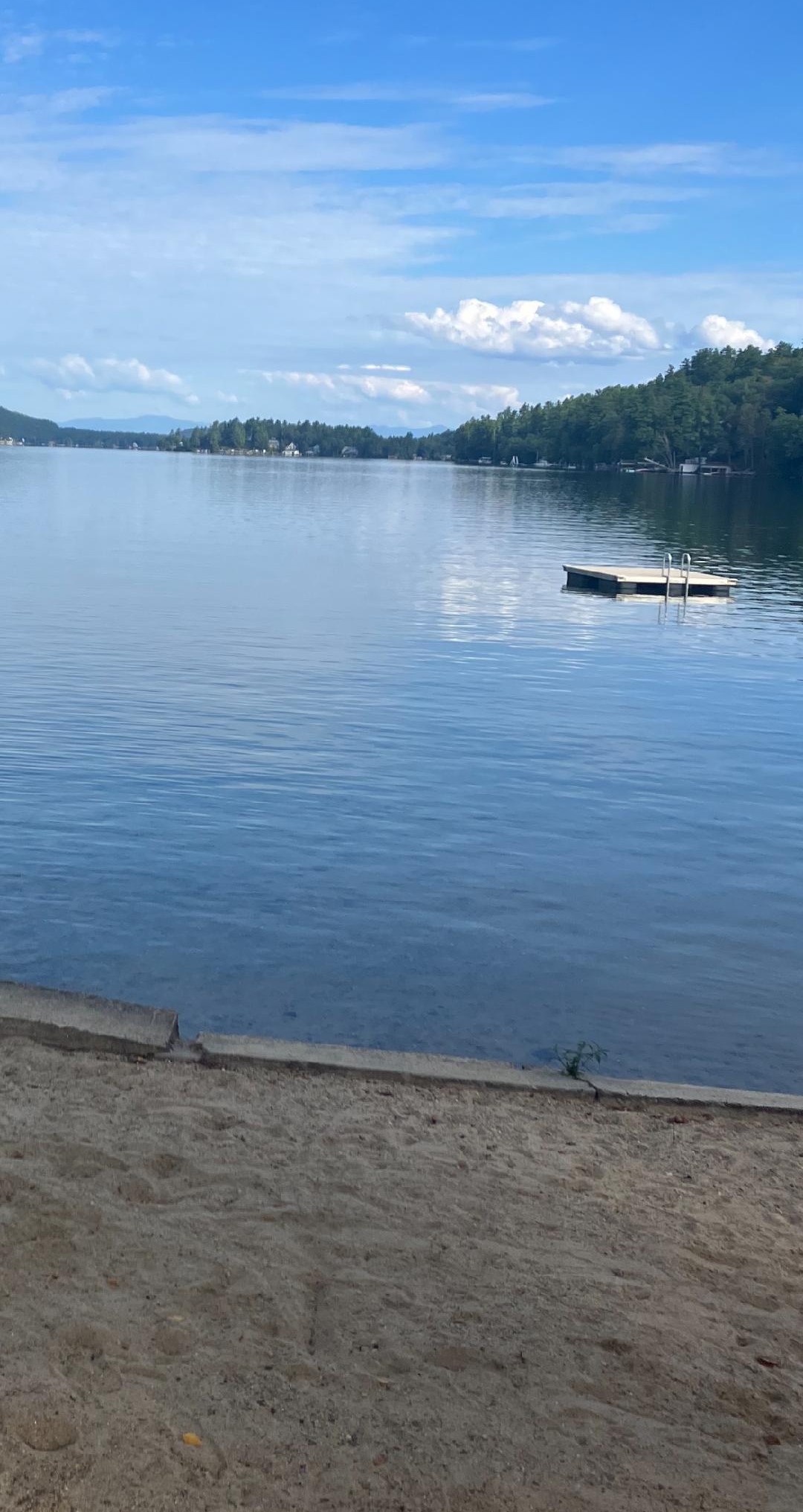 Thomas E. McNeil, 76